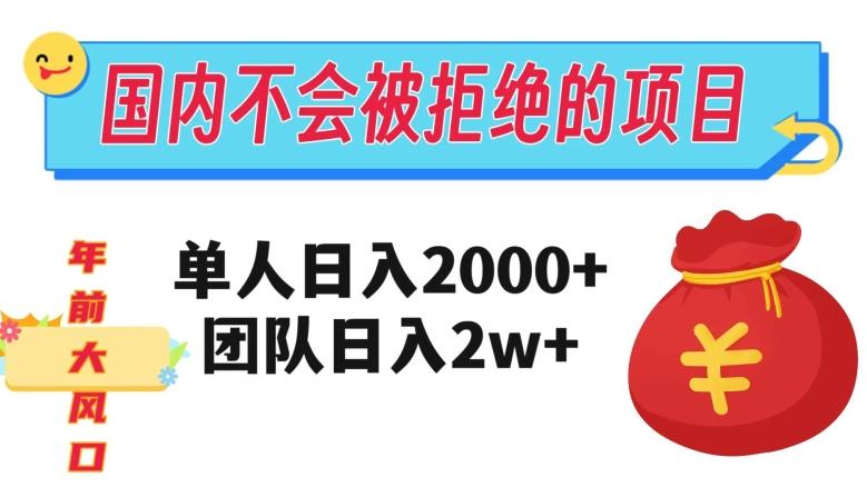 在国内不怕被拒绝的项目，单人日入2000，团队日入20000+【揭秘】-小毅网创