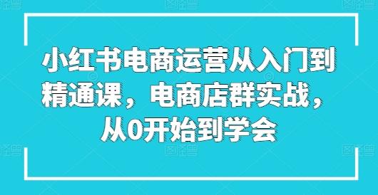 小红书电商运营从入门到精通课，电商店群实战，从0开始到学会 - 小毅网创-小毅网创