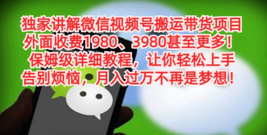 独家讲解微信视频号搬运带货项目，保姆级详细教程 - 小毅网创-小毅网创