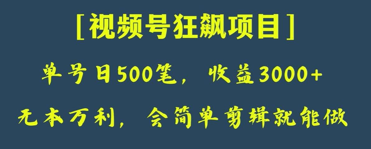 日收款500笔，纯利润3000+，视频号狂飙项目，会简单剪辑就能做【揭秘】 - 小毅网创-小毅网创