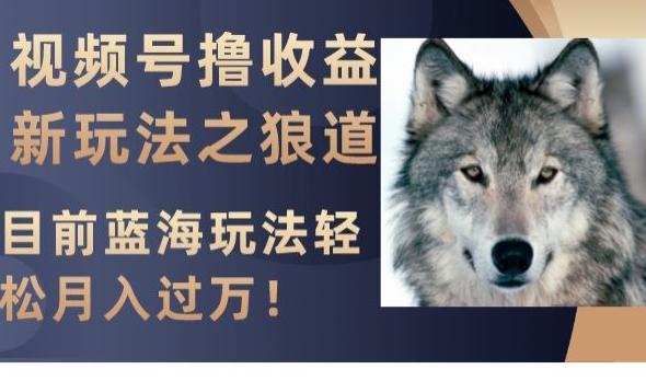 视频号撸收益新玩法之狼道，目前蓝海玩法，轻松月入过万【揭秘】-小毅网创