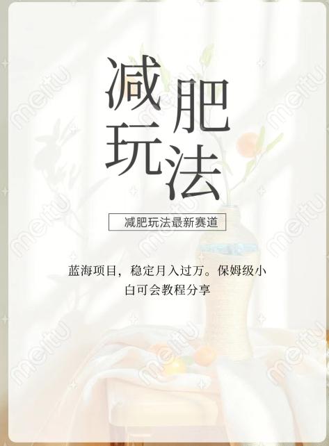 减肥流量主新玩法，轻松月入1W，可矩阵操作收入翻倍 - 小毅网创-小毅网创