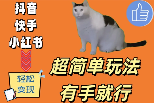 超简单玩法，有手就行，靠猫咪视频日入500+【揭秘】-小毅网创