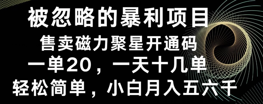 被忽略的暴利项目！售卖磁力聚星开通码，一单20，一天十几单，轻松月入五六千 - 小毅网创-小毅网创