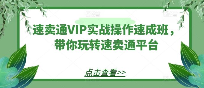 速卖通VIP实战操作速成班，带你玩转速卖通平台 - 小毅网创-小毅网创
