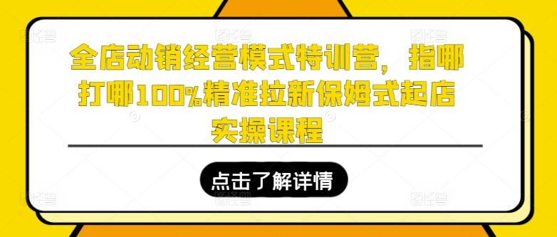 全店动销经营模式特训营，指哪打哪100%精准拉新保姆式起店实操课程 - 小毅网创-小毅网创