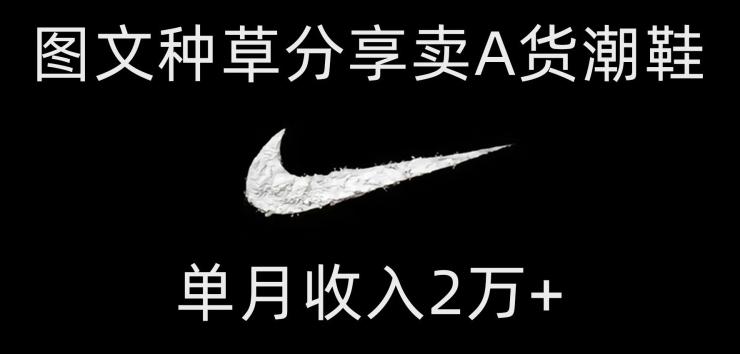 靠图文种草分享卖A货潮鞋，每天一小时，单月收入2万+【揭秘】 - 小毅网创-小毅网创