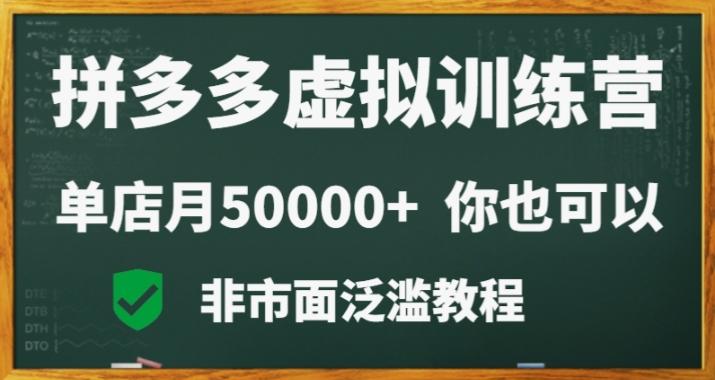 拼多多虚拟电商训练营月入30000+你也行，暴利稳定长久，副业首选 - 小毅网创-小毅网创