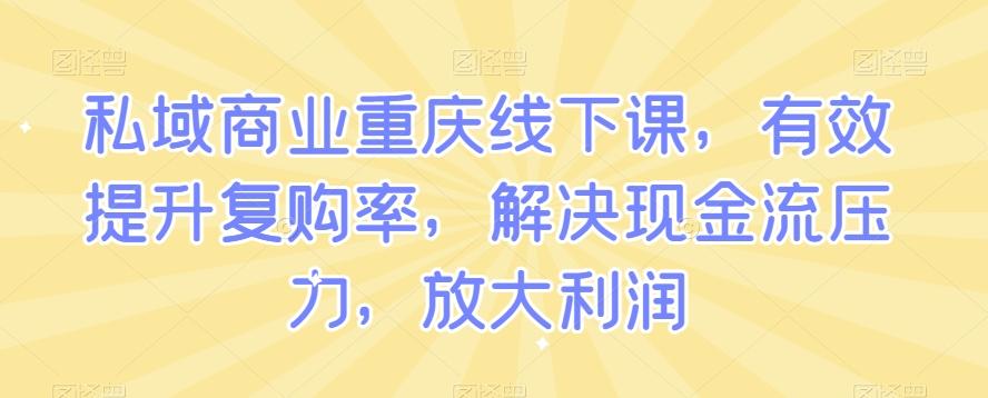 私域商业重庆线下课，有效提升复购率，解决现金流压力，放大利润 - 小毅网创-小毅网创