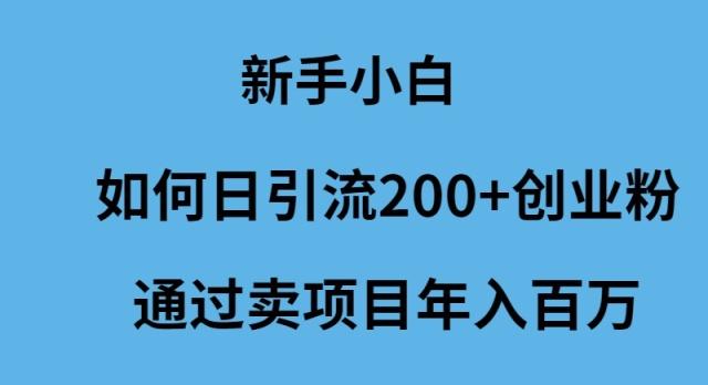 (9668期)新手小白如何日引流200+创业粉通过卖项目年入百万 - 小毅网创-小毅网创