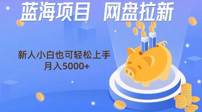 蓝海项目网盘拉新，新人小白也可操作，每月收入5000+ - 小毅网创-小毅网创