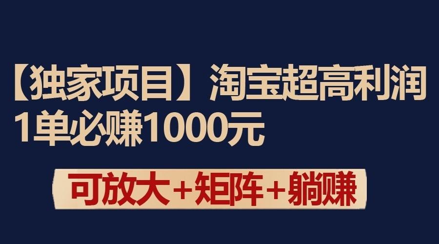 独家淘宝超高利润项目：1单必赚1000元，可放大可矩阵操作 - 小毅网创-小毅网创