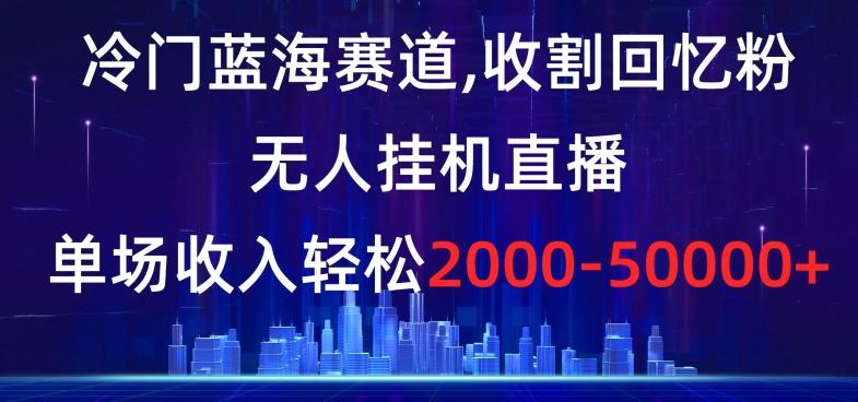 冷门蓝海赛道，收割回忆粉，无人挂机直播，单场收入轻松2000-5w+【揭秘】 - 小毅网创-小毅网创