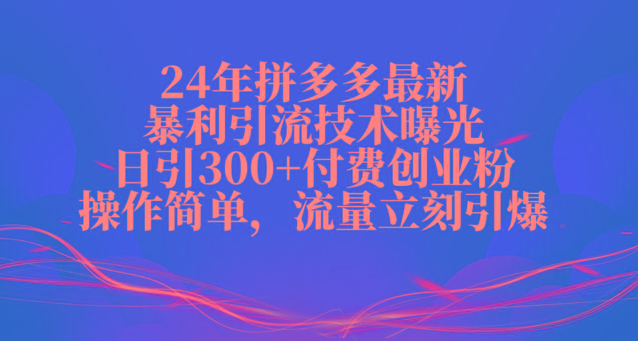 24年拼多多最新暴利引流技术曝光，日引300+付费创业粉，操作简单，流量... - 小毅网创-小毅网创