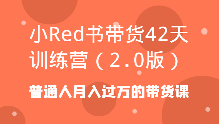 小Red书带货42天训练营(2.0版)普通人月入过万的带货课 - 小毅网创-小毅网创