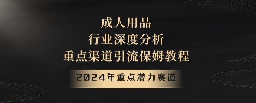 2024年重点潜力赛道，成人用品行业深度分析，重点渠道引流保姆教程【揭秘】-小毅网创