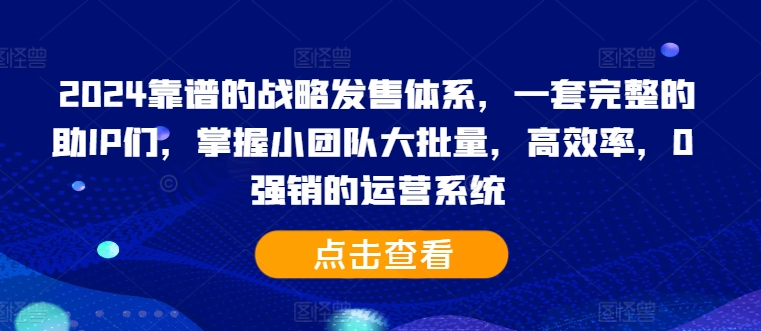 2024靠谱的战略发售体系，一套完整的助IP们，掌握小团队大批量，高效率，0 强销的运营系统-小毅网创