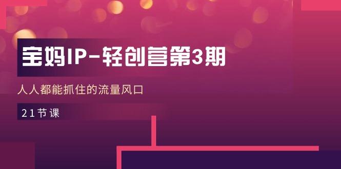 宝妈IP-轻创营第3期，人人都能抓住的流量风口(21节课-小毅网创