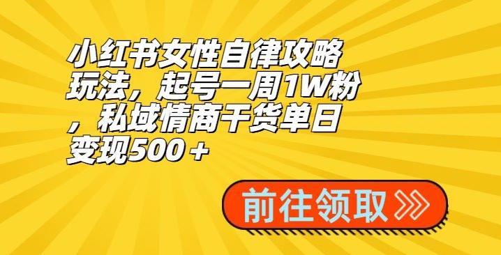 小红书女性自律攻略玩法，起号一周1W粉，私域情商干货单日变现500＋-小毅网创