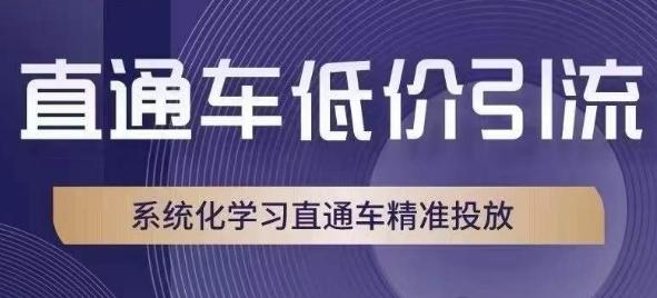 直通车低价引流课，系统化学习直通车精准投放 - 小毅网创-小毅网创