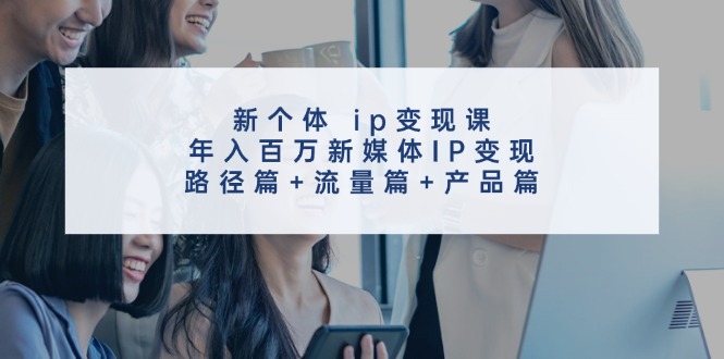 新个体ip变现课，年入百万新媒体IP变现，路径篇+流量篇+产品篇 - 小毅网创-小毅网创