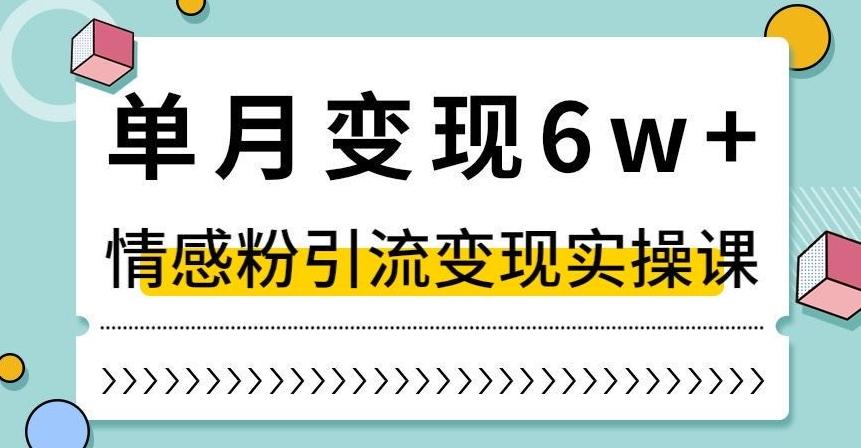 单月变现6W+，抖音情感粉引流变现实操课，小白可做，轻松上手，独家赛道【揭秘】 - 小毅网创-小毅网创