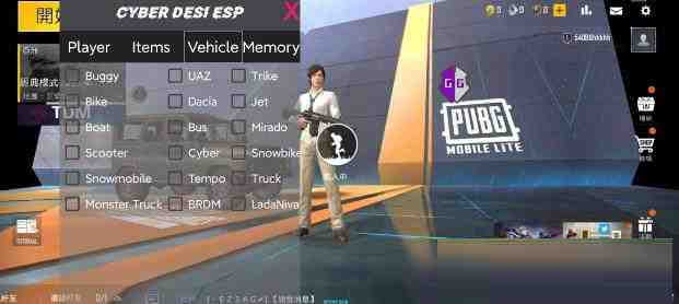 PUBG轻量老外裸奔绘制+自瞄 支持ROOT和框架 里面有全局离线 - 小毅网创-小毅网创