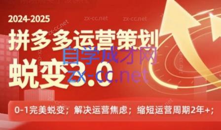 大力老师·2024拼多多运营策略蜕变3.0-小毅网创