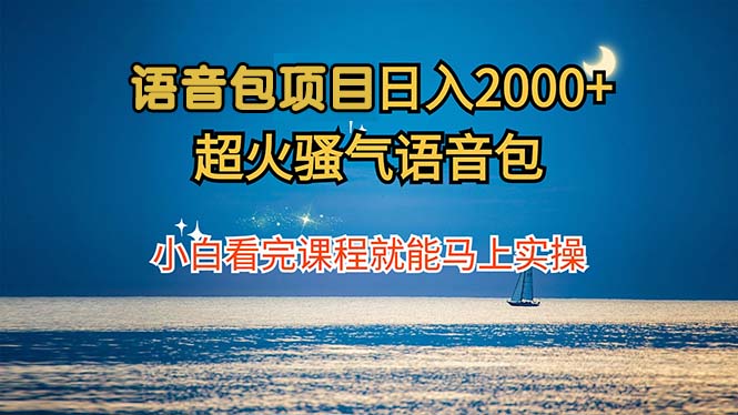 语音包项目 日入2000+ 超火骚气语音包小白看完课程就能马上实操 - 小毅网创-小毅网创