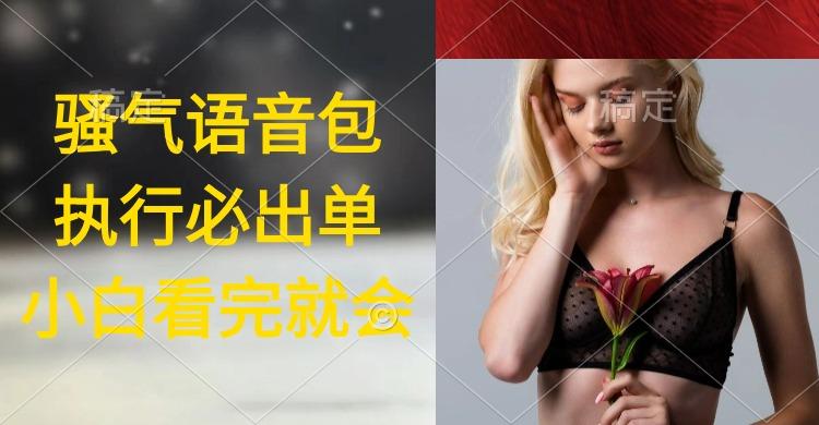 (9589期)执行就出单，日入2000+，超火骚气语音包，小白看完课程就能马上实操 - 小毅网创-小毅网创