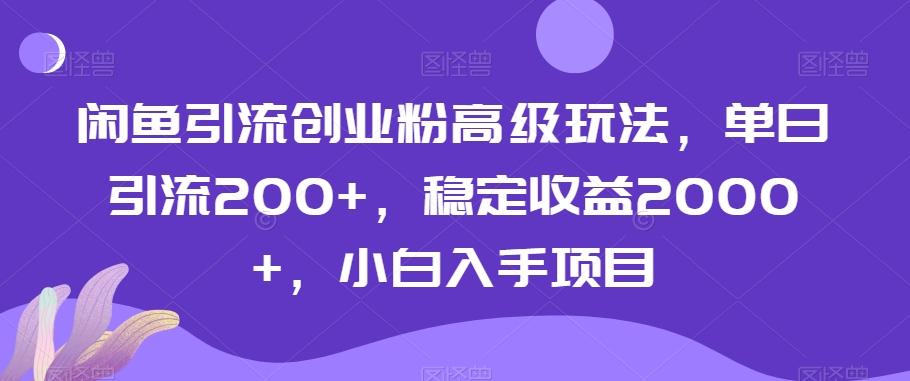 闲鱼引流创业粉高级玩法，单日引流200+，稳定收益2000+，小白入手项目 - 小毅网创-小毅网创