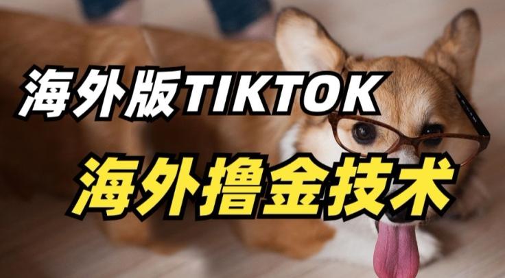 抖音海外版tiktok撸金技术，这个风口行业，赚钱真的不难【揭秘】-小毅网创