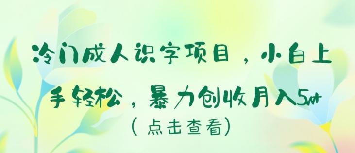 冷门成人识字项目，小白上手轻松，暴力创收月入5w+【揭秘】 - 小毅网创-小毅网创