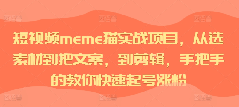 短视频meme猫实战项目，从选素材到把文案，到剪辑，手把手的教你快速起号涨粉 - 小毅网创-小毅网创