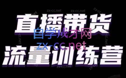 婉婉·直播带货课程系列合集(更新8月)-小毅网创