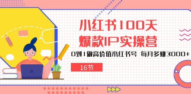 小红书100天-爆款IP实操营，0到1做高价值小红书号 每月多赚3000+(16节 - 小毅网创-小毅网创
