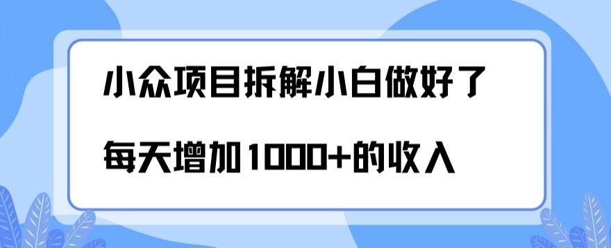 小众项目拆解，小白做好了每天可增加1000多的收入-小毅网创