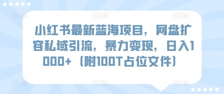 小红书最新蓝海项目，网盘扩容私域引流，暴力变现，日入1000+(附100T占位文件)【揭秘】-小毅网创