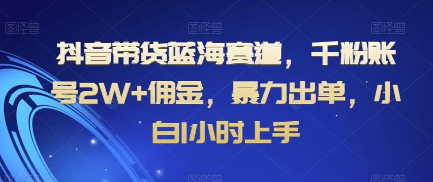 抖音带货蓝海赛道，千粉账号2W+佣金，暴力出单，小白1小时上手【揭秘】 - 小毅网创-小毅网创