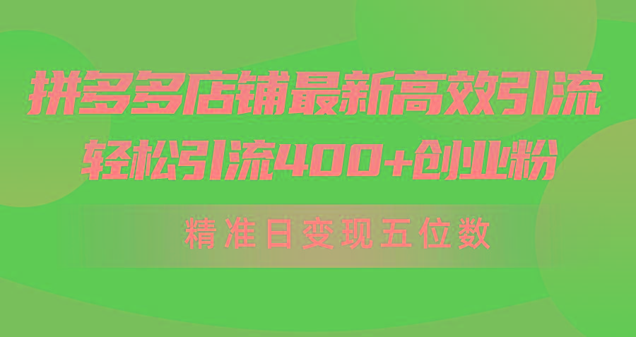 (10041期)拼多多店铺最新高效引流术，轻松引流400+创业粉，精准日变现五位数！ - 小毅网创-小毅网创
