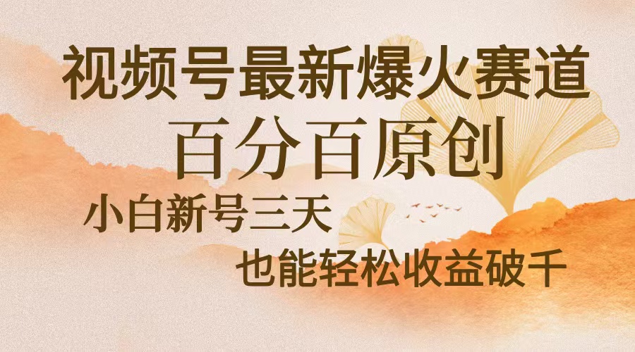 视频号最新爆火赛道，中老年粉深信不疑，百分百原创，新号三天收益轻松... - 小毅网创-小毅网创