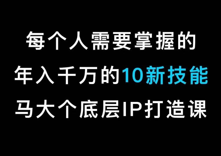 马大个的IP底层逻辑课，​每个人需要掌握的年入千万的10新技能，约会底层IP打造方法！-小毅网创