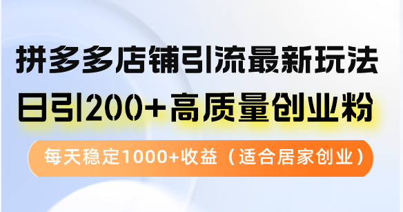 拼多多店铺引流最新玩法，日引200+高质量创业粉，每天稳定1000+收益(...-小毅网创