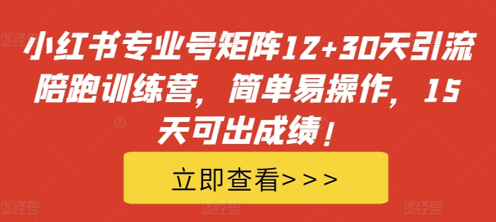 小红书专业号矩阵12+30天引流陪跑训练营，简单易操作，15天可出成绩!-小毅网创
