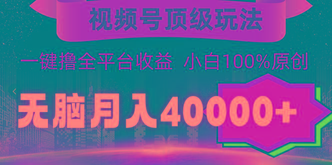 (9281期)视频号顶级玩法，无脑月入40000+，一键撸全平台收益，纯小白也能100%原创-小毅网创