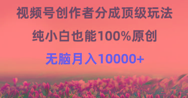 (9608期)视频号创作者分成顶级玩法，纯小白也能100%原创，无脑月入10000+ - 小毅网创-小毅网创