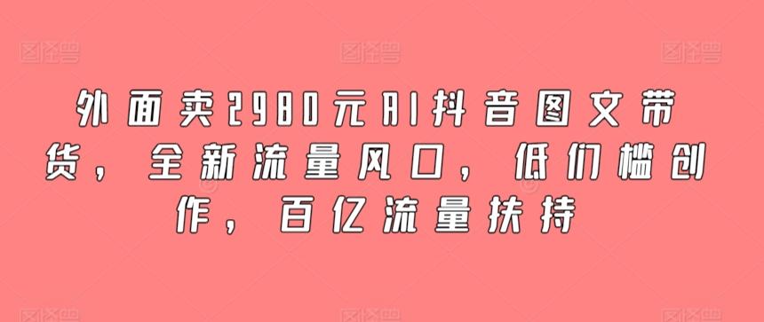 外面卖2980元AI抖音图文带货，全新流量风口，低们槛创作，百亿流量扶持-小毅网创