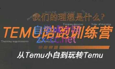 苗苗·拼多多跨境（temu）课程-小毅网创