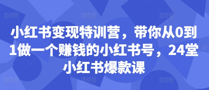 小红书变现特训营，带你从0到1做一个赚钱的小红书号，24堂小红书爆款课-小毅网创