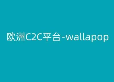欧洲C2C平台-wallapop-kim跨境电商教程 - 小毅网创-小毅网创